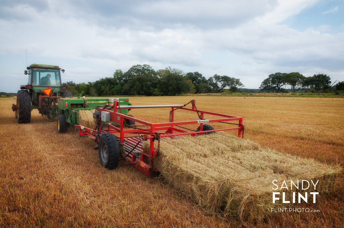 Agricultural Photography Hay Farming